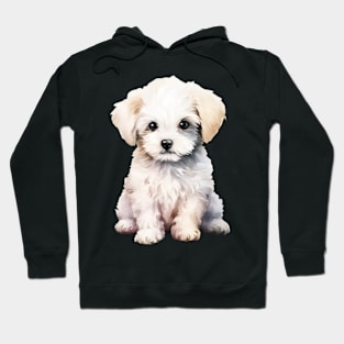 Puppy Bichon Frise Hoodie